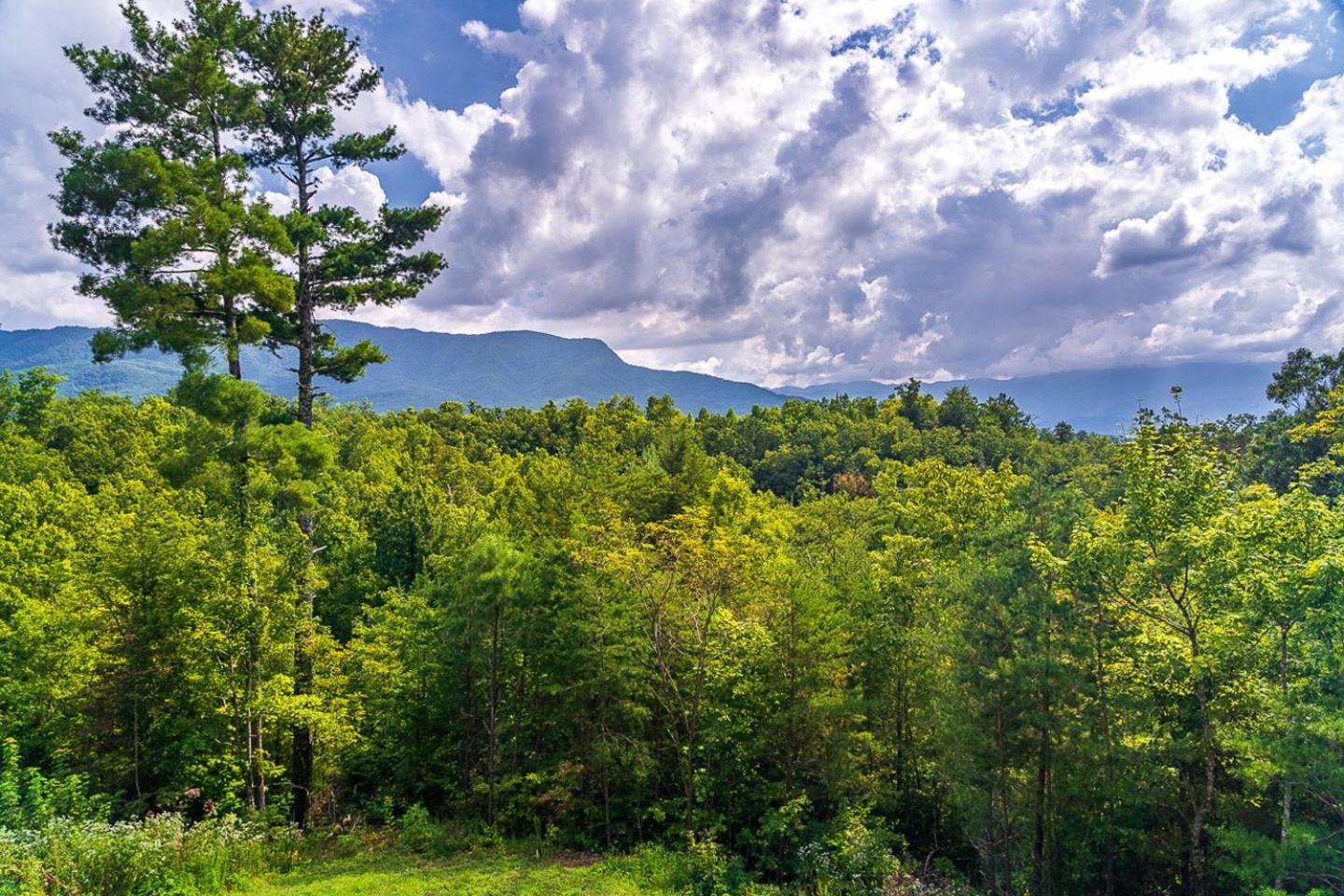 גטלינבורג Big Bear Ridge Lodge - Breathtaking Mountain Views And Private Forest Scenes In Amazing Large Log Cabin מראה חיצוני תמונה